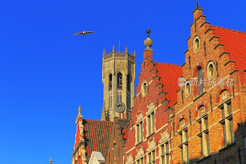 海鸟飞过布鲁日的正面和钟楼-比利时老城