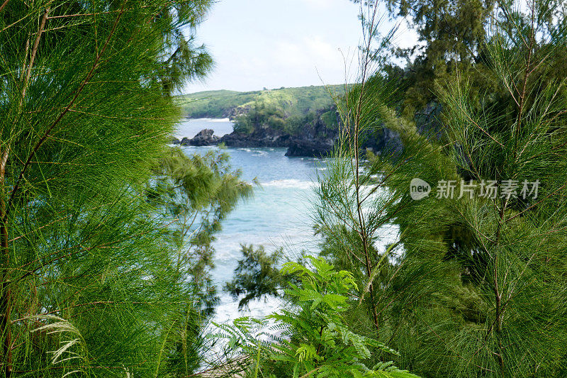 夏威夷毛伊岛的檀香山湾和莫库莱亚湾