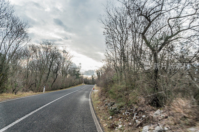 在多云的冬天，树木排列的空旷的乡村道路