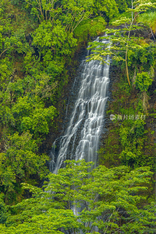 夏威夷考艾岛