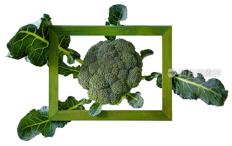花椰菜的矛在一个绿色的木框架内，孤立在白色和修剪的路径包括，青菜王英雄等。