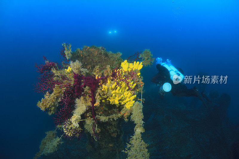 潜水技术潜水员探索和享受沉船潜水海上生命潜水夫妇水上运动技术潜水水肺潜水员的观点