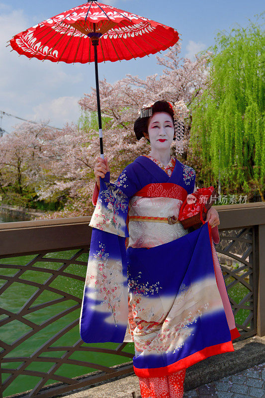 穿着美子服饰的日本女人在京都的桥上欣赏樱花