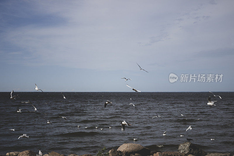 海景