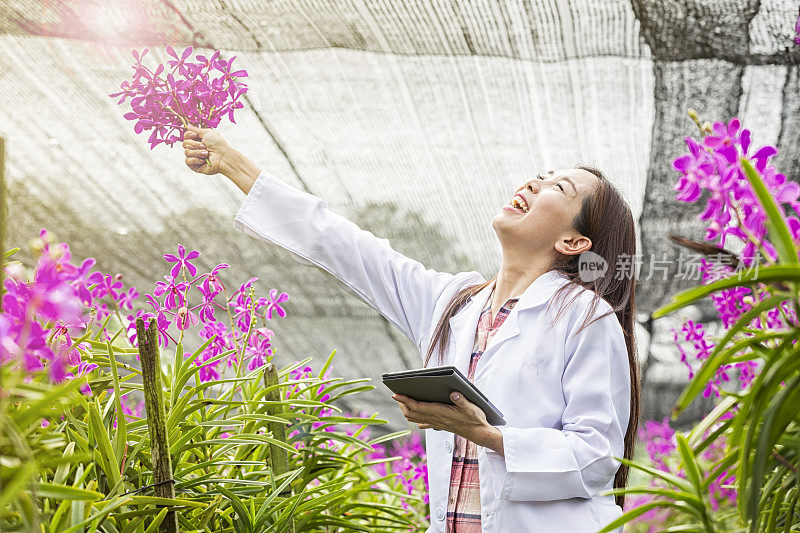 科学家们很享受他们的工作。积极的年轻亚洲在兰花园艺专家。植物学家或生物学家手里拿着石碑和兰花。有选择性的重点。