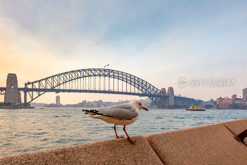 澳大利亚悉尼，东环形码头，海港大桥黄昏的景色