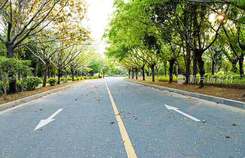 有箭头标志的沥青公路