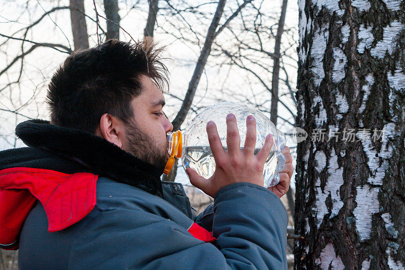 收集桦树汁收集桦树汁的人从瓶子里喝桦树汁