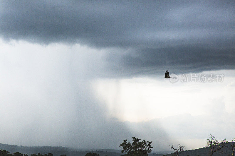狂风暴雨伴着鹰飞过云霄