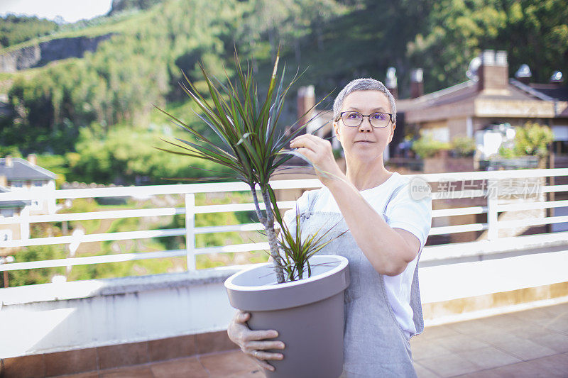 一个成熟的女人在阳台上拿着一罐龙血