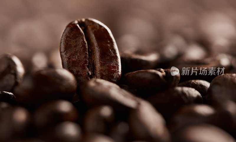 魔法豆是真的——它叫咖啡
