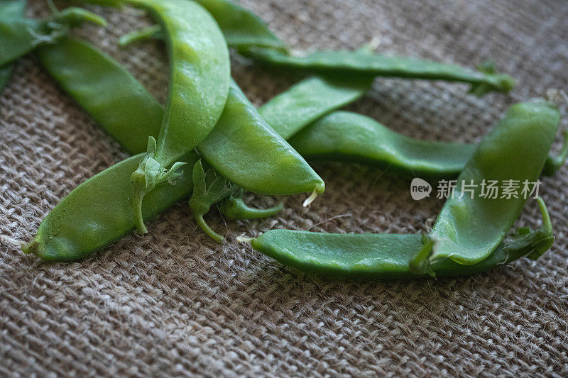 在粗麻布背景上新采摘的雪豌豆的特写。