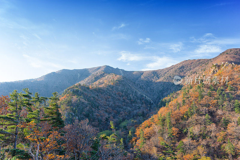 韩国秋景