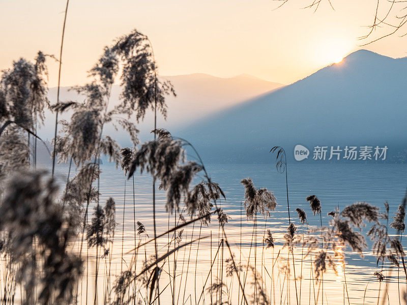 美丽的日落在瑞士的马焦雷湖