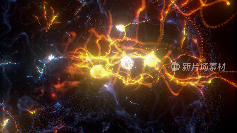 神经元连接全息图