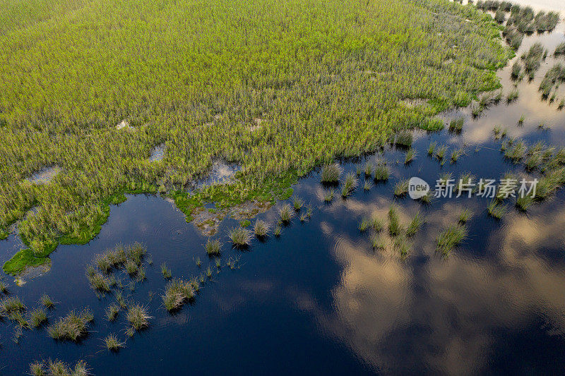 鸟瞰图的荒野湿地与河流流过它