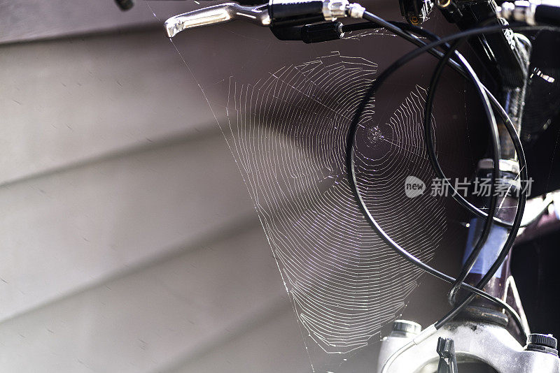 自行车车把上的蜘蛛网特写