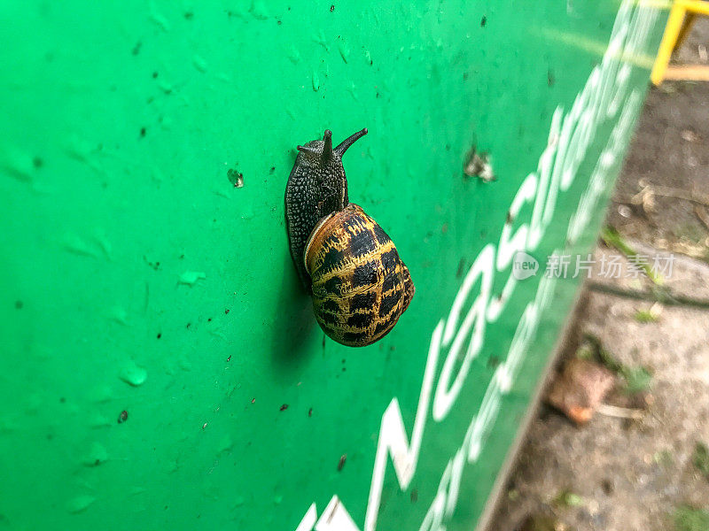 蜗牛爬上花园垃圾的标志