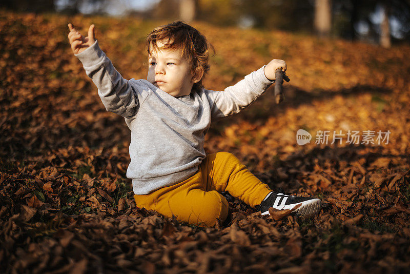 小男孩在秋天的树叶中玩耍