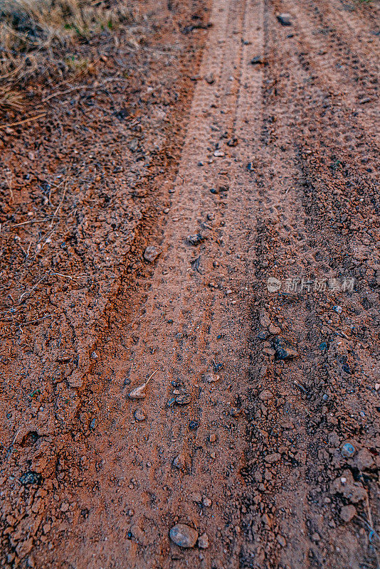 低角度拍摄的新鲜山地自行车轨道在泥土