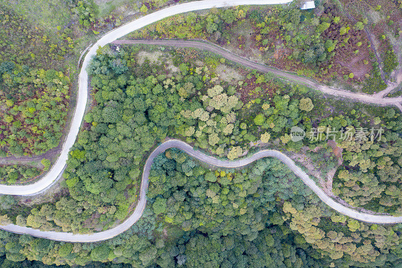 蜿蜒的道路。穿过森林的田园诗般的蜿蜒道路