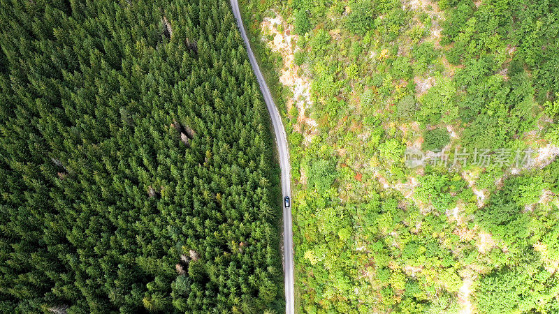 穿越森林的公路旅行