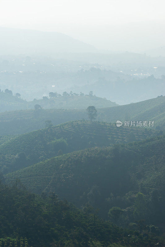 越南林东省宝禄镇林魁帕庵宝塔附近的山谷和山的美丽景色