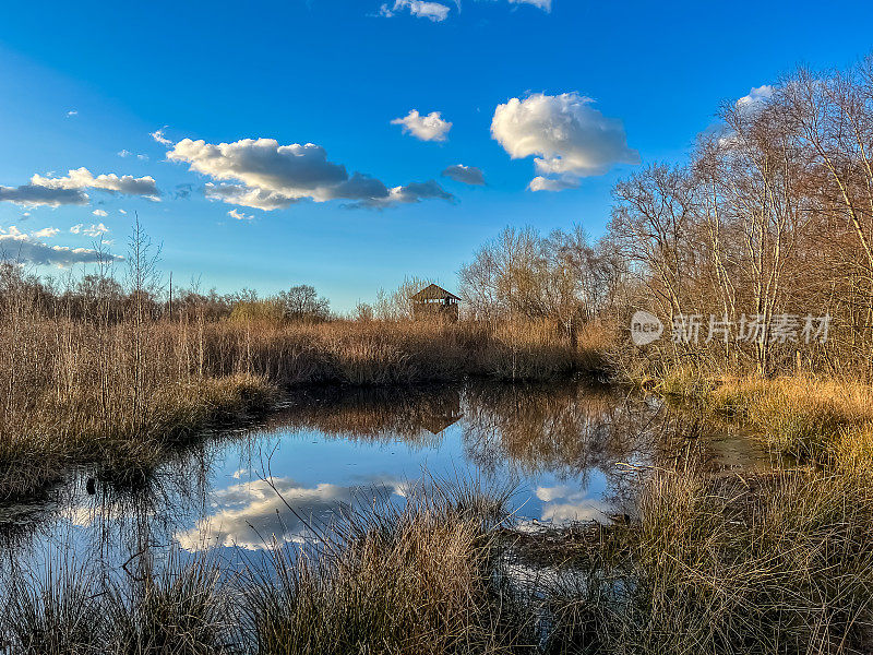 在寒冷的天气里，德国的沼泽景观在非常好的天气里。