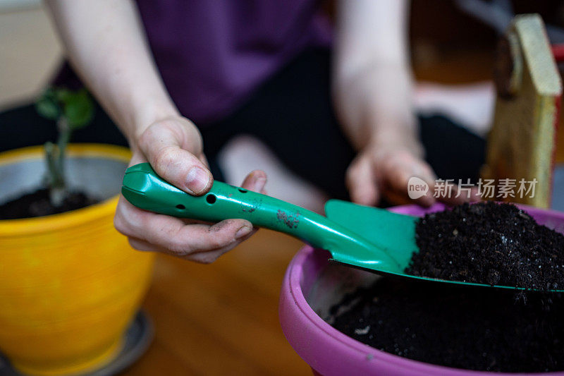 一个不认识的女人在盆栽室内植物