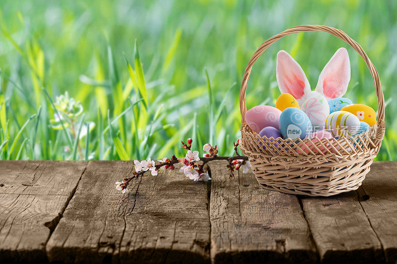 篮子里的复活节彩蛋，空木桌上篮子后面的复活节兔子耳朵。
