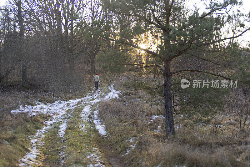 深秋的森林徒步旅行。在乡村小路上，一个成熟的女人会走开。