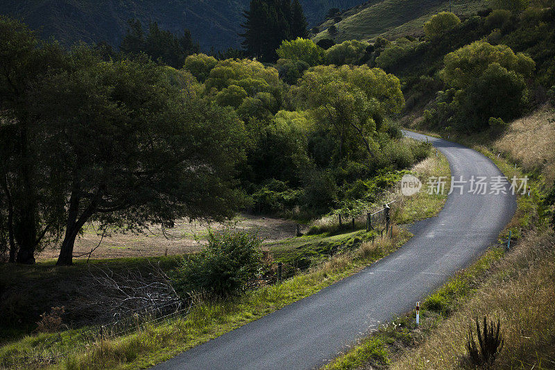 新西兰南岛的乡村路