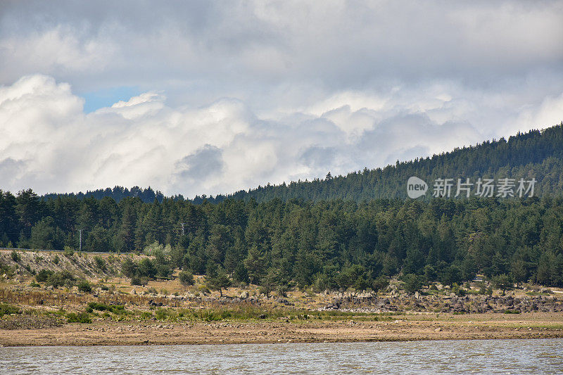 松树林地，湖泊和天空背景。自然背景