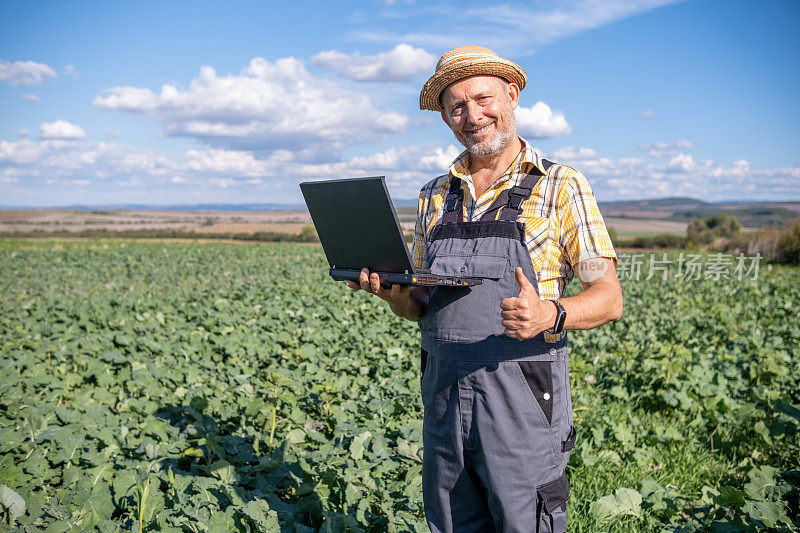 快乐的农民在绿叶蔬菜的绿色农田里使用笔记本电脑。