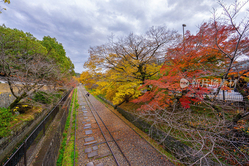 日本铁路两侧，到处都是红黄相间的枫叶。