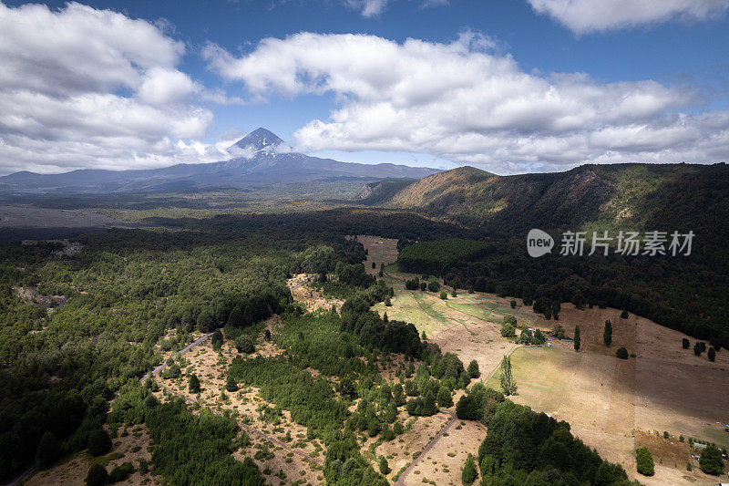 火山脚下的森林