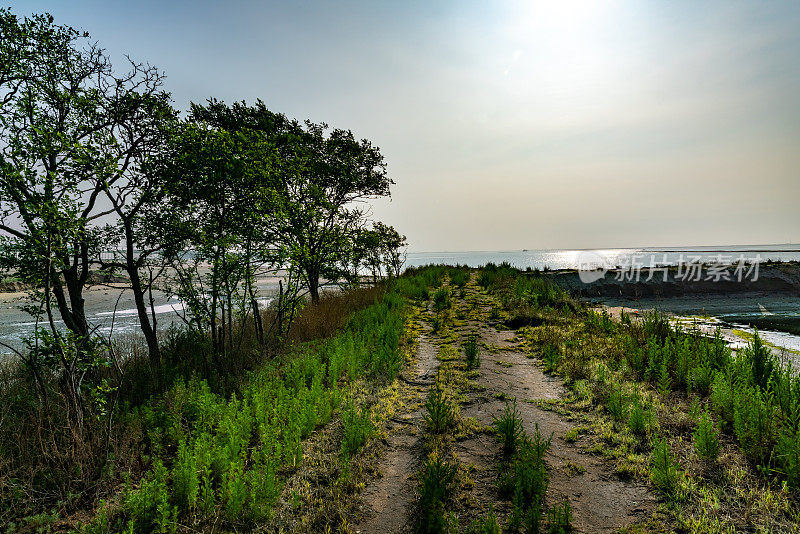 沿海风景