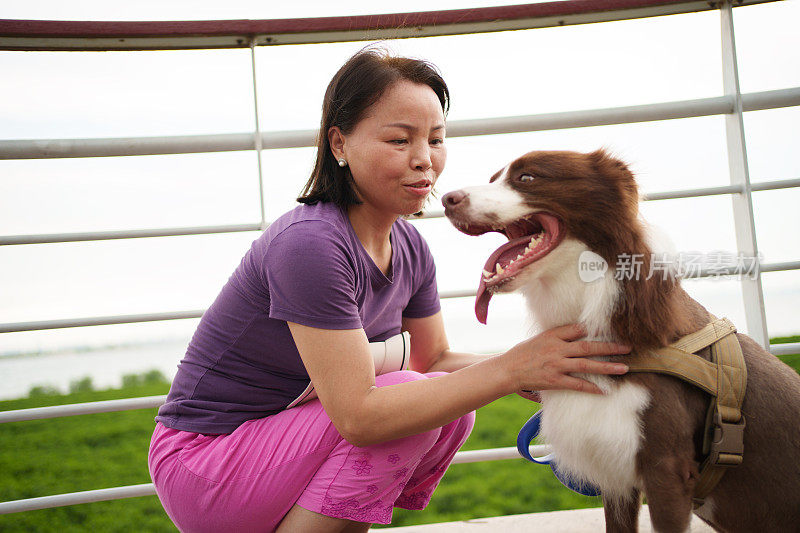 女人和她的牧羊犬