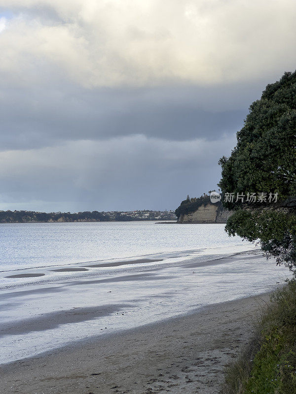 新西兰奥克兰的红海滩海岸线