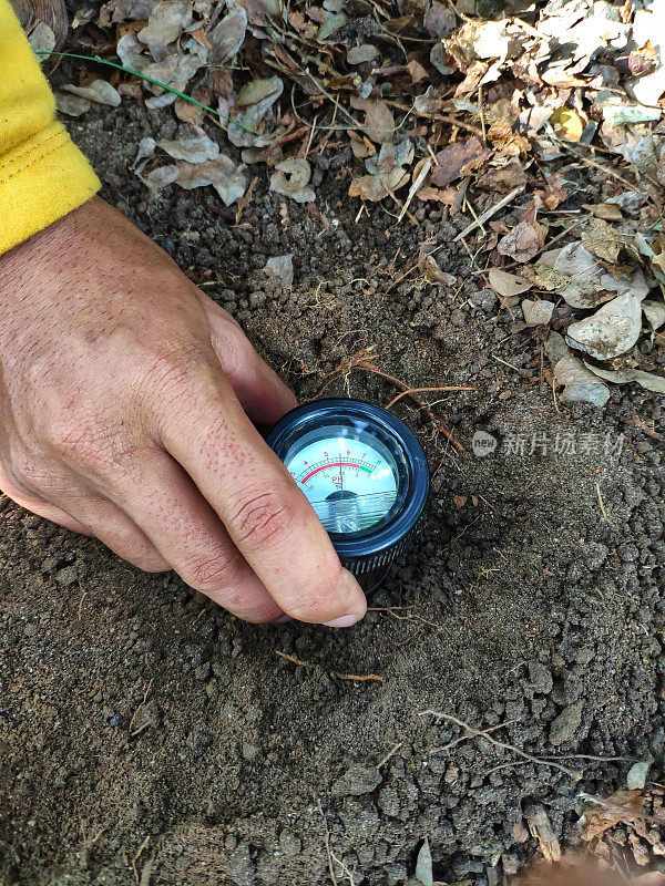 土壤pH值观测