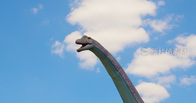 公园景点。一只恐龙的头在移动。在蓝色的天空背景上，石器时代的怪物的特写。度假，假日休闲。