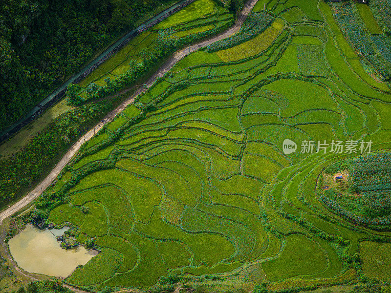 越南曹邦，中庆，码头顺河的空中景观，绿色的稻田和质朴的土著房屋