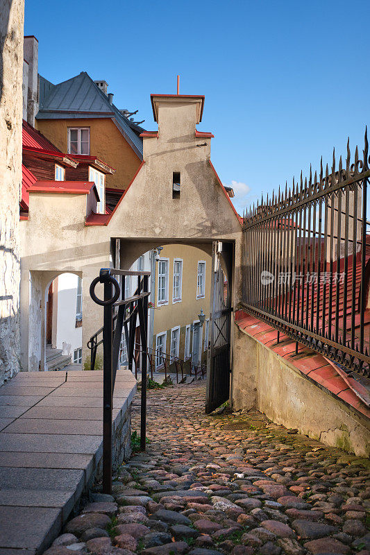 爱沙尼亚塔林市，背景中有一扇门和一栋建筑的鹅卵石街道。