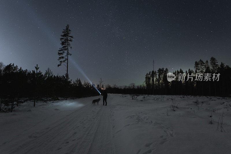 一个人拿着手电筒在森林里走在路上，一只狼的鬼魂站在旁边，冬天的星空。