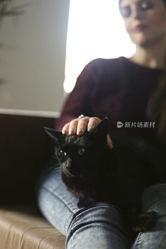 女人和她的猫