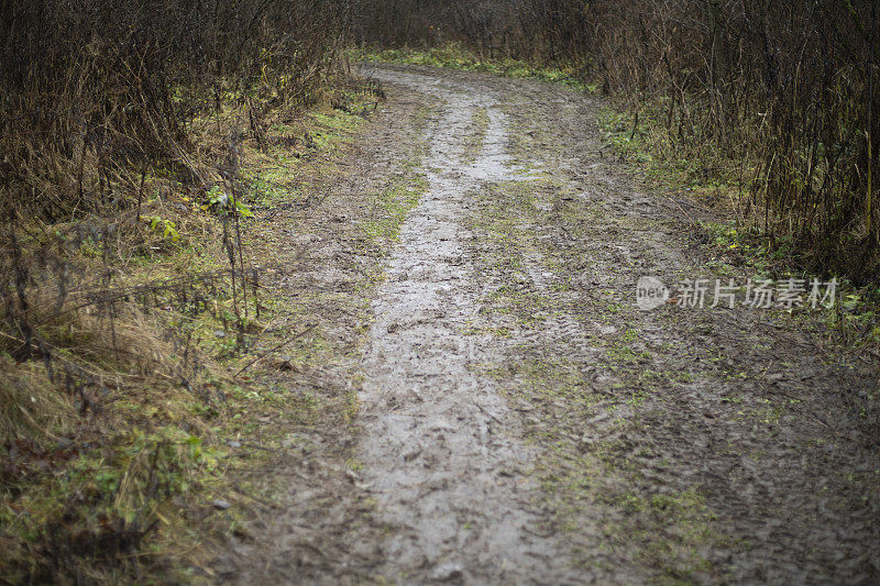 污垢路径。雨中的小路。路上有泥土。