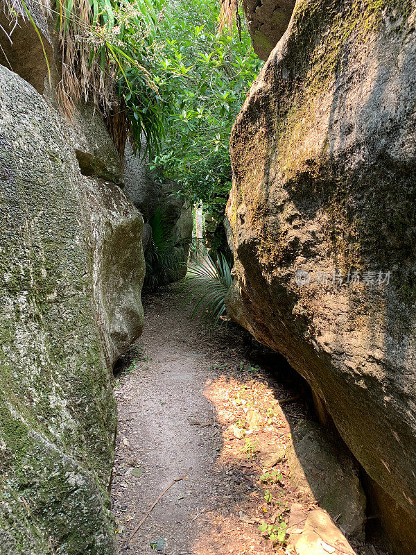 迷宫岩石栈道，高卡，金湾，新西兰