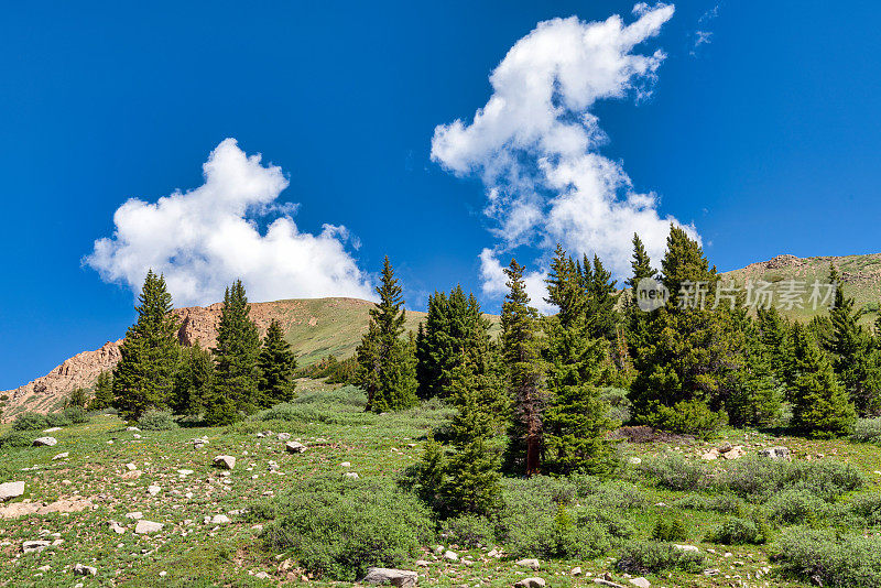 科罗拉多山地自然景观