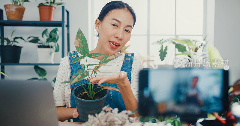 近距离的年轻亚洲妇女使用笔记本电脑接收采购订单，并显示植物录制视频直播电话在早上的树店。