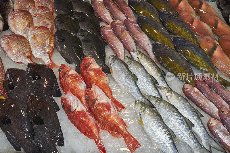 台湾，太平洋，柜台上出售的冰鲜鱼
